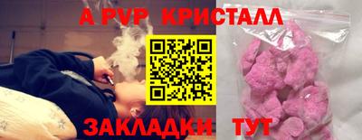 jwh Кингисепп