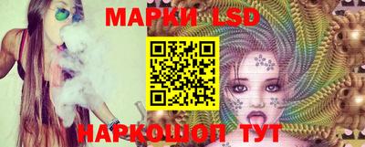 jwh Кингисепп