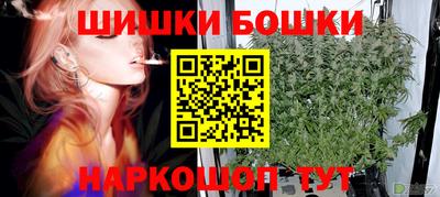 jwh Кингисепп