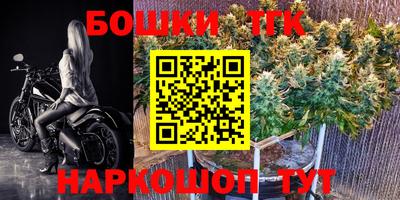 jwh Кингисепп