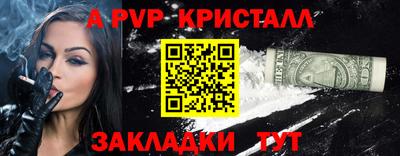 jwh Кингисепп