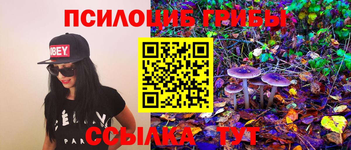 Псилоцибиновые грибы GOLDEN TEACHER  Вход с VPN  Искитим 