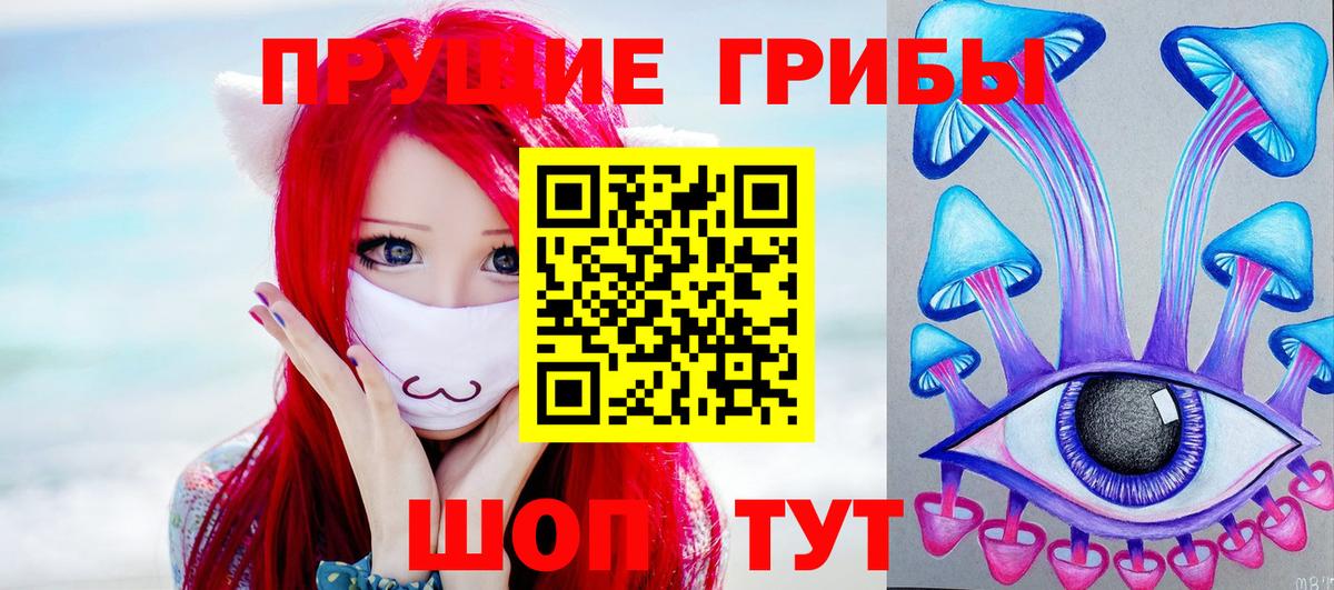 Псилоцибиновые грибы мицелий Искитим